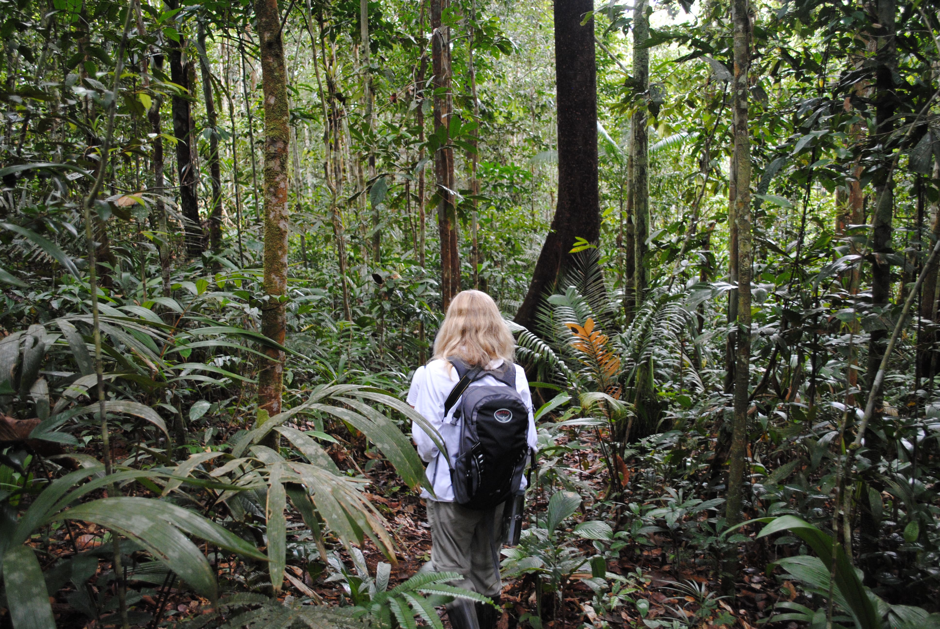 Photo from 10-Day Peruvian Amazon Birdwatching Expedition safari tour